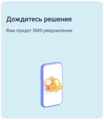 Дождитесь решения от МФО 