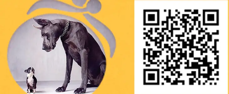 МФО Финтерра