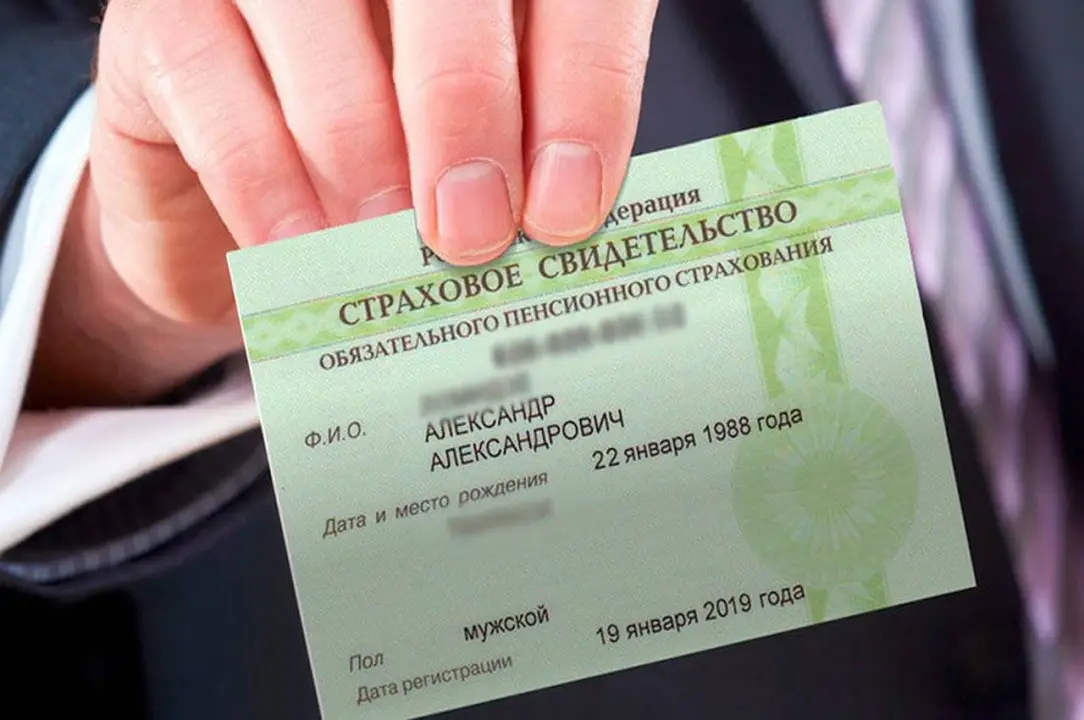 Вот так выглядит СНИЛс