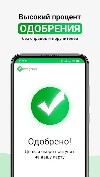 В екапуста высокий процент одобрения займа