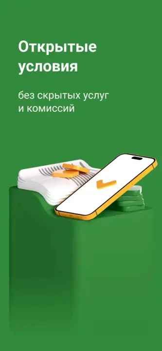 Приложение Займер 5