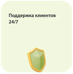 Круглосуточная поддержка